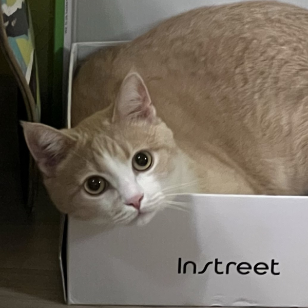 Надежда Лапшина