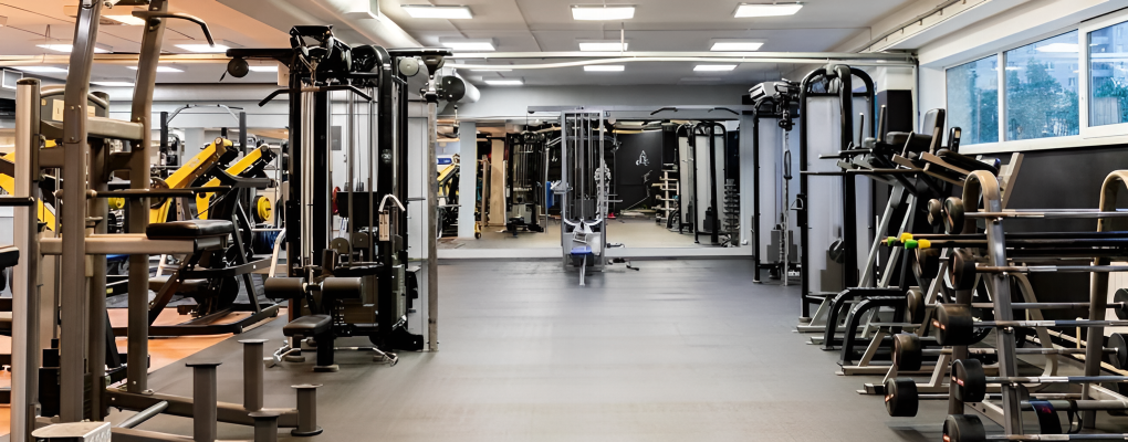 M GYM Fitness
