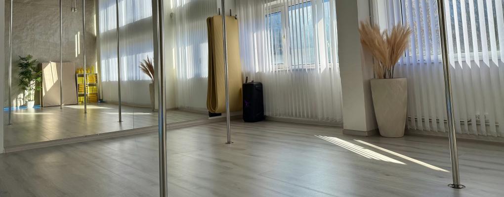 The Villa Pole Space