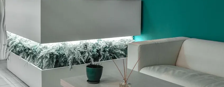 Культура Восстановления