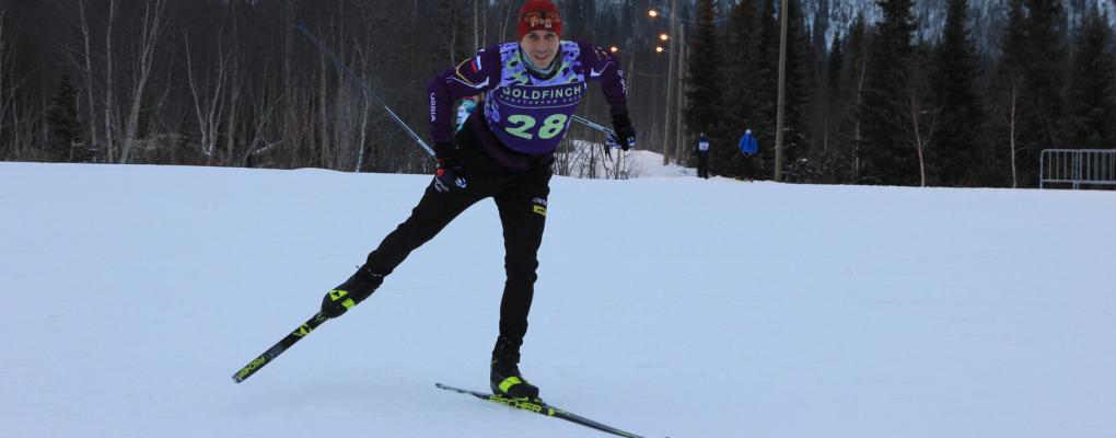 GoldFinch (Алешкинский лес)