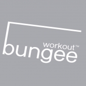 Bungee Workout